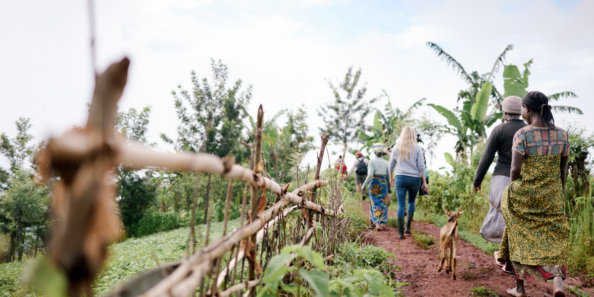 What Makes Rwandan Coffee Taste the Way It Does
